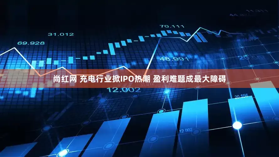 尚红网 充电行业掀IPO热潮 盈利难题成最大障碍