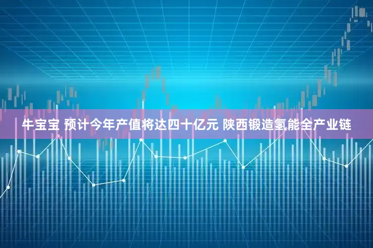 牛宝宝 预计今年产值将达四十亿元 陕西锻造氢能全产业链
