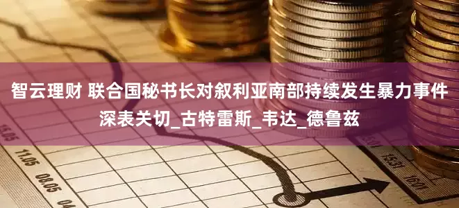 智云理财 联合国秘书长对叙利亚南部持续发生暴力事件深表关切_古特雷斯_韦达_德鲁兹